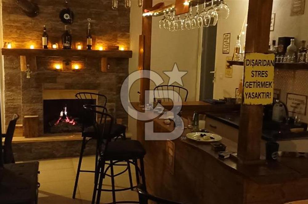 Tavas Tekke Fırsat Satılık 6025 m² Ceviz Bahçesi & Bağ Evi