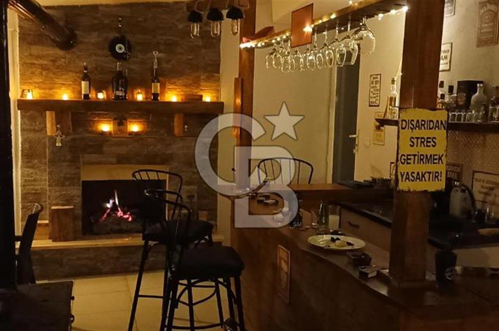 Tavas Tekke Fırsat Satılık 6025 m² Ceviz Bahçesi & Bağ Evi