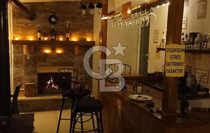 Tavas Tekke Fırsat Satılık 6025 m² Ceviz Bahçesi & Bağ Evi