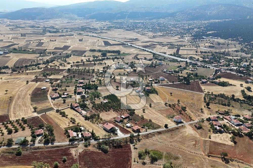 Tavas Tekke Fırsat Satılık 6025 m² Ceviz Bahçesi & Bağ Evi