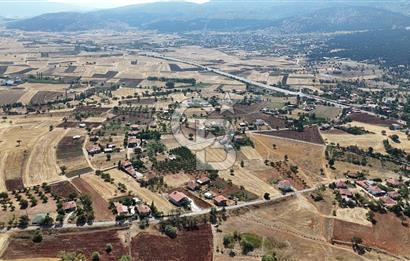Tavas Tekke Fırsat Satılık 6025 m² Ceviz Bahçesi & Bağ Evi