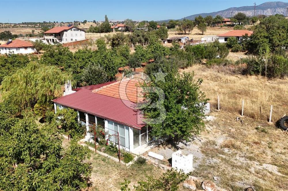 Tavas Tekke Fırsat Satılık 6025 m² Ceviz Bahçesi & Bağ Evi