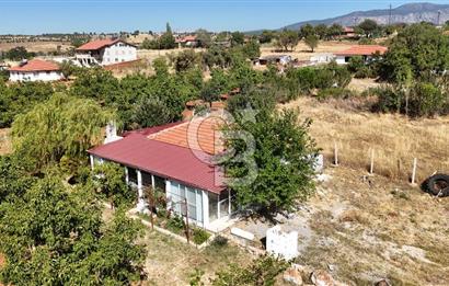 Tavas Tekke Fırsat Satılık 6025 m² Ceviz Bahçesi & Bağ Evi