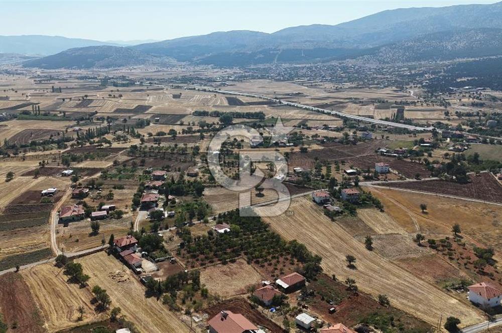 Tavas Tekke Fırsat Satılık 6025 m² Ceviz Bahçesi & Bağ Evi