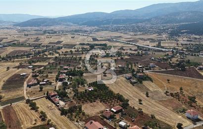 Tavas Tekke Fırsat Satılık 6025 m² Ceviz Bahçesi & Bağ Evi