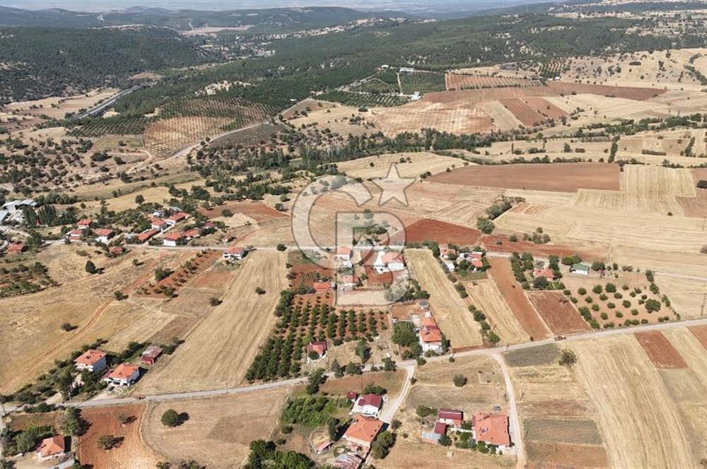 Tavas Tekke Fırsat Satılık 6025 m² Ceviz Bahçesi & Bağ Evi