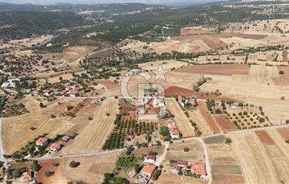 Tavas Tekke Fırsat Satılık 6025 m² Ceviz Bahçesi & Bağ Evi