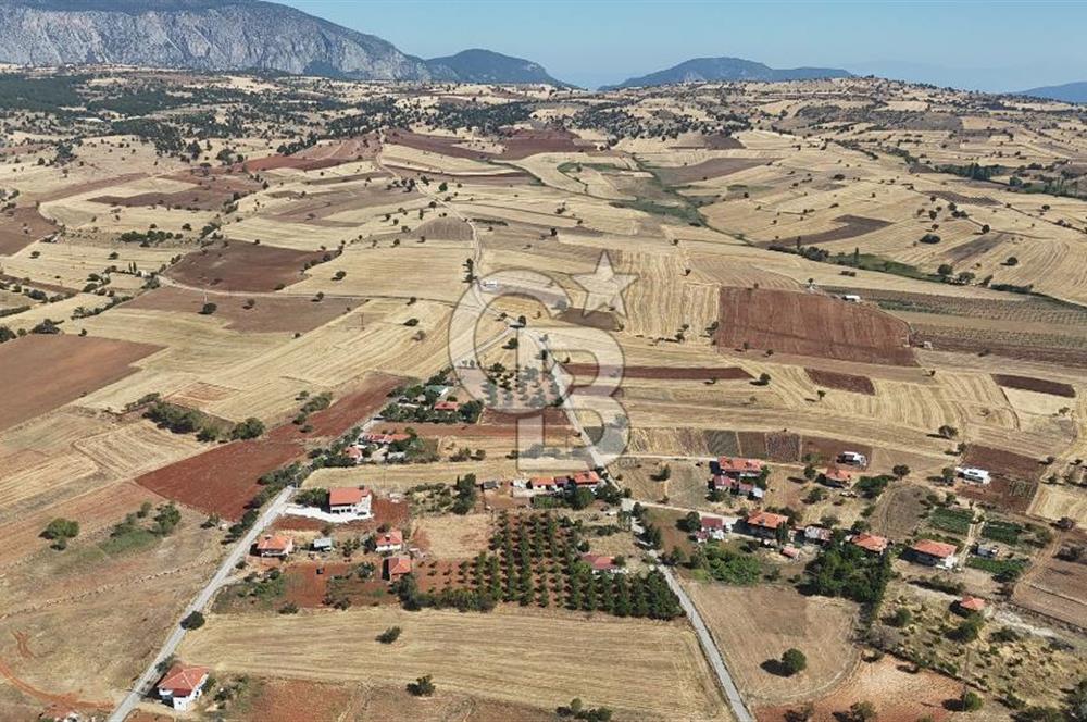 Tavas Tekke Fırsat Satılık 6025 m² Ceviz Bahçesi & Bağ Evi