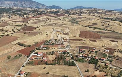 Tavas Tekke Fırsat Satılık 6025 m² Ceviz Bahçesi & Bağ Evi