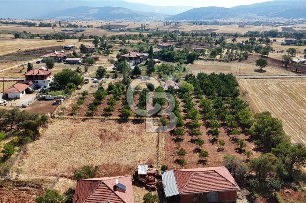 Tavas Tekke Fırsat Satılık 6025 m² Ceviz Bahçesi & Bağ Evi