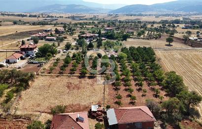 Tavas Tekke Fırsat Satılık 6025 m² Ceviz Bahçesi & Bağ Evi