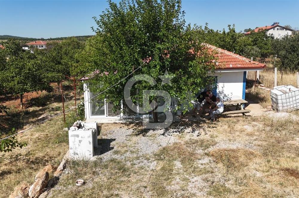 Tavas Tekke Fırsat Satılık 6025 m² Ceviz Bahçesi & Bağ Evi