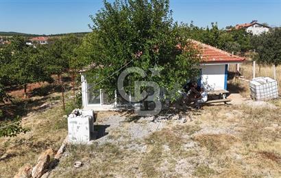 Tavas Tekke Fırsat Satılık 6025 m² Ceviz Bahçesi & Bağ Evi