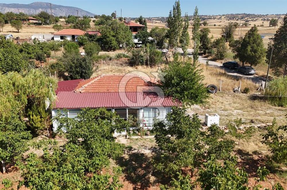 Tavas Tekke Fırsat Satılık 6025 m² Ceviz Bahçesi & Bağ Evi