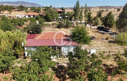 Tavas Tekke Fırsat Satılık 6025 m² Ceviz Bahçesi & Bağ Evi