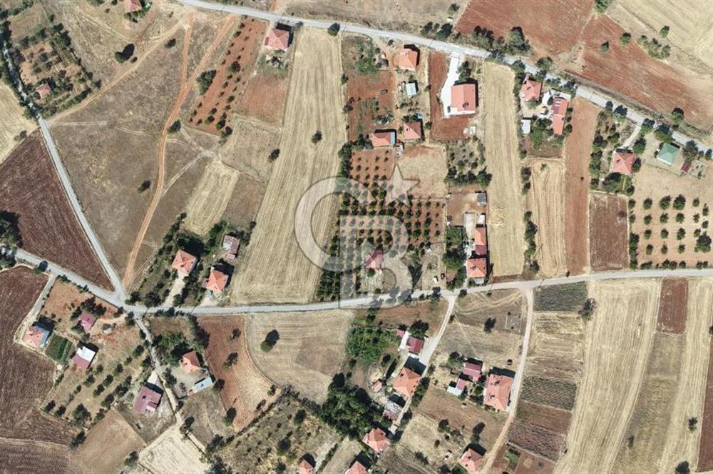Tavas Tekke Fırsat Satılık 6025 m² Ceviz Bahçesi & Bağ Evi