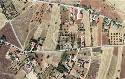 Tavas Tekke Fırsat Satılık 6025 m² Ceviz Bahçesi & Bağ Evi