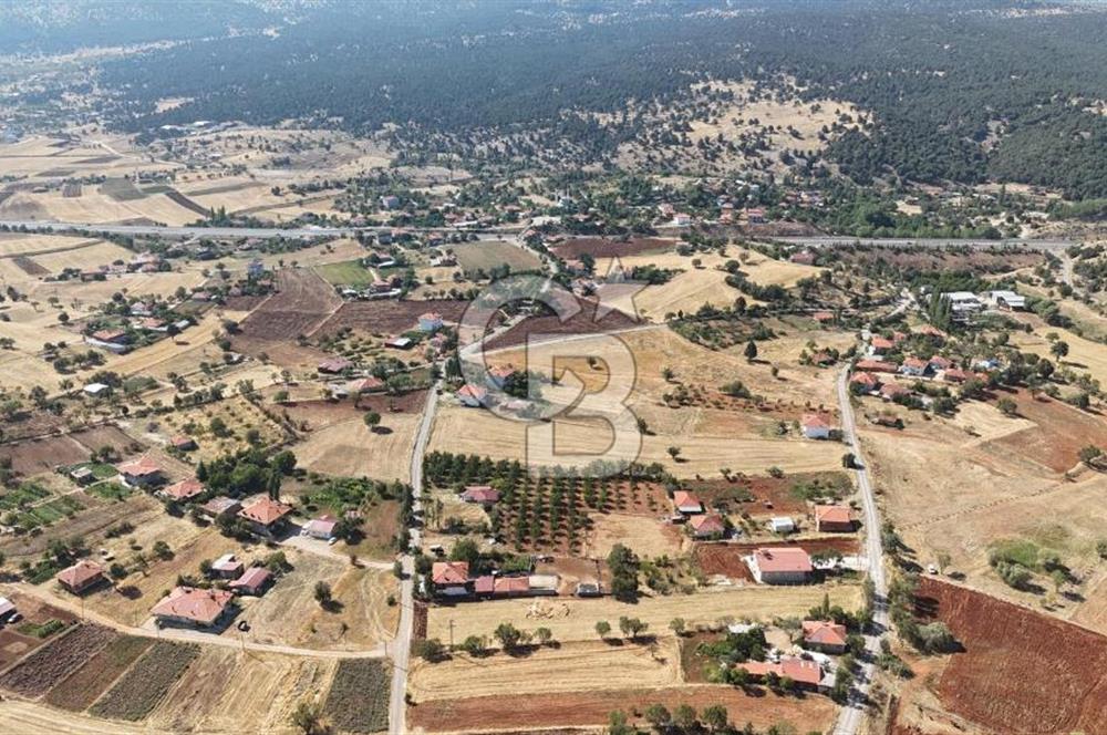 Tavas Tekke Fırsat Satılık 6025 m² Ceviz Bahçesi & Bağ Evi