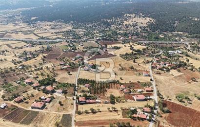 Tavas Tekke Fırsat Satılık 6025 m² Ceviz Bahçesi & Bağ Evi