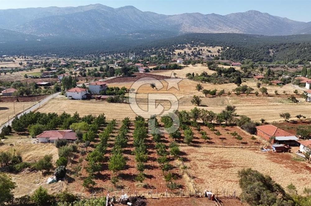 Tavas Tekke Fırsat Satılık 6025 m² Ceviz Bahçesi & Bağ Evi