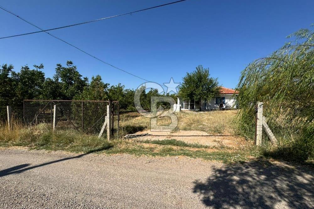 Tavas Tekke Fırsat Satılık 6025 m² Ceviz Bahçesi & Bağ Evi