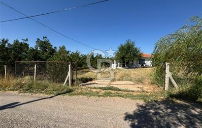 Tavas Tekke Fırsat Satılık 6025 m² Ceviz Bahçesi & Bağ Evi