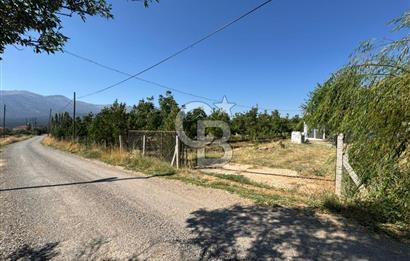 Tavas Tekke Fırsat Satılık 6025 m² Ceviz Bahçesi & Bağ Evi