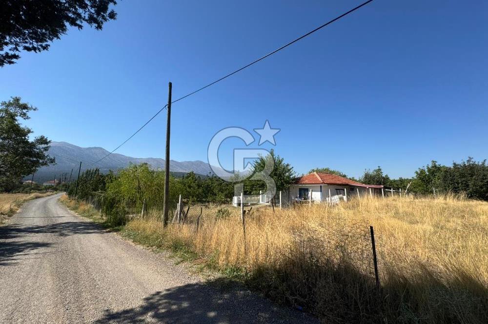 Tavas Tekke Fırsat Satılık 6025 m² Ceviz Bahçesi & Bağ Evi