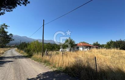 Tavas Tekke Fırsat Satılık 6025 m² Ceviz Bahçesi & Bağ Evi
