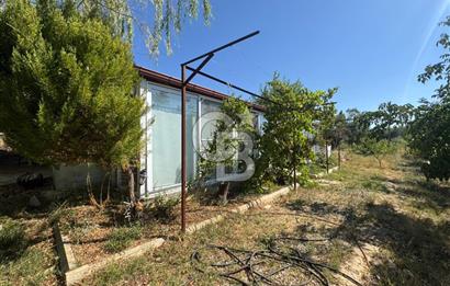 Tavas Tekke Fırsat Satılık 6025 m² Ceviz Bahçesi & Bağ Evi