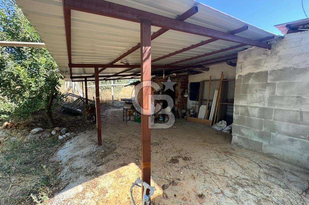 Tavas Tekke Fırsat Satılık 6025 m² Ceviz Bahçesi & Bağ Evi