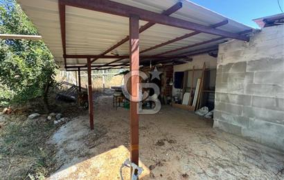 Tavas Tekke Fırsat Satılık 6025 m² Ceviz Bahçesi & Bağ Evi
