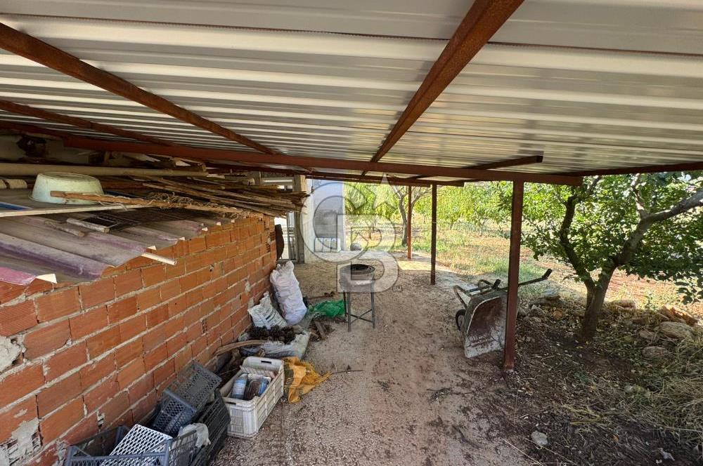 Tavas Tekke Fırsat Satılık 6025 m² Ceviz Bahçesi & Bağ Evi