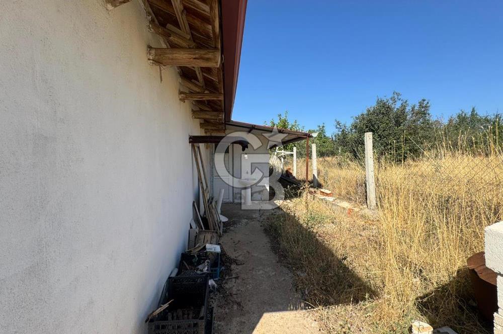 Tavas Tekke Fırsat Satılık 6025 m² Ceviz Bahçesi & Bağ Evi