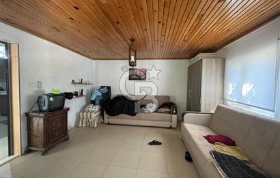 Tavas Tekke Fırsat Satılık 6025 m² Ceviz Bahçesi & Bağ Evi