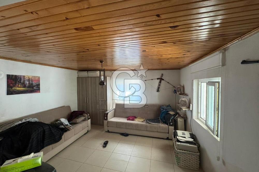 Tavas Tekke Fırsat Satılık 6025 m² Ceviz Bahçesi & Bağ Evi