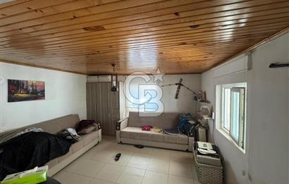 Tavas Tekke Fırsat Satılık 6025 m² Ceviz Bahçesi & Bağ Evi