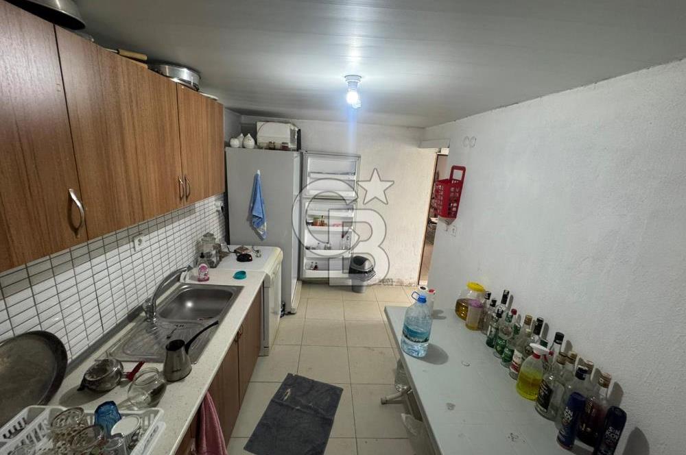 Tavas Tekke Fırsat Satılık 6025 m² Ceviz Bahçesi & Bağ Evi