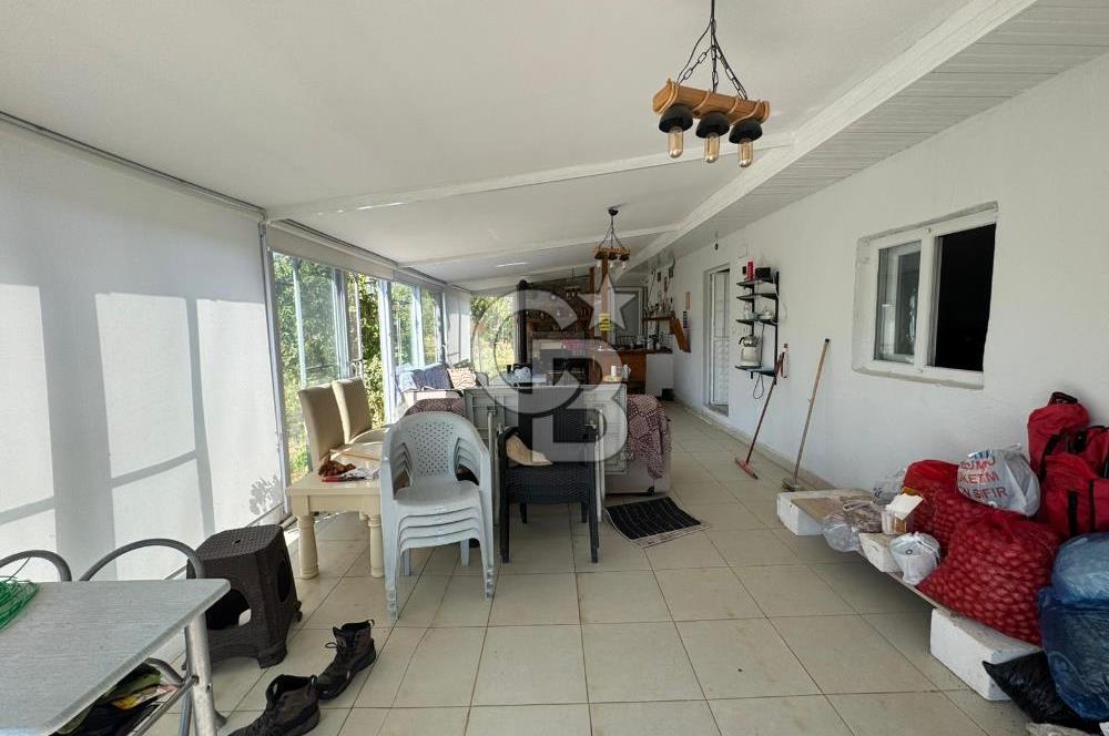 Tavas Tekke Fırsat Satılık 6025 m² Ceviz Bahçesi & Bağ Evi