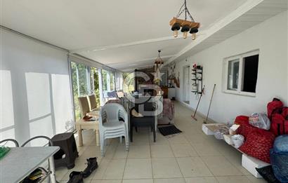 Tavas Tekke Fırsat Satılık 6025 m² Ceviz Bahçesi & Bağ Evi