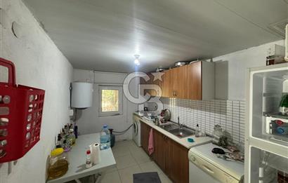 Tavas Tekke Fırsat Satılık 6025 m² Ceviz Bahçesi & Bağ Evi