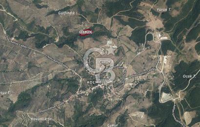 Gemlik Adliye'de Köy Merkezine Yakın Geniş Arazi Fırsatı!
