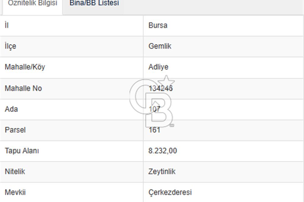 Gemlik Adliye'de Köy Merkezine Yakın Geniş Arazi Fırsatı!
