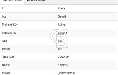 Gemlik Adliye'de Köy Merkezine Yakın Geniş Arazi Fırsatı!