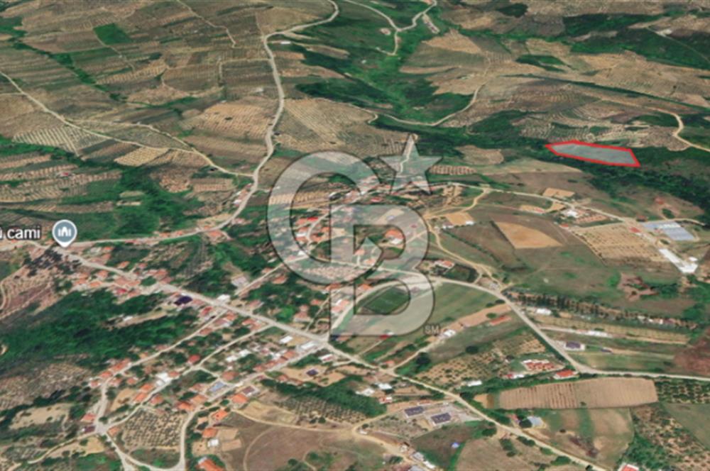 Gemlik Adliye'de Köy Merkezine Yakın Geniş Arazi Fırsatı!