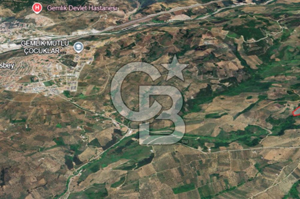 Gemlik Adliye'de Köy Merkezine Yakın Geniş Arazi Fırsatı!