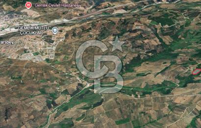 Gemlik Adliye'de Köy Merkezine Yakın Geniş Arazi Fırsatı!