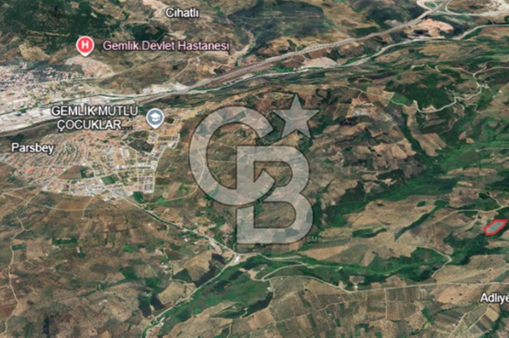 Gemlik Adliye'de Köy Merkezine Yakın Geniş Arazi Fırsatı!