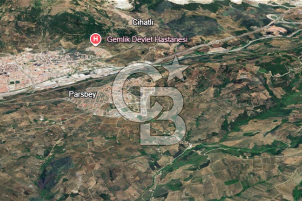 Gemlik Adliye'de Köy Merkezine Yakın Geniş Arazi Fırsatı!