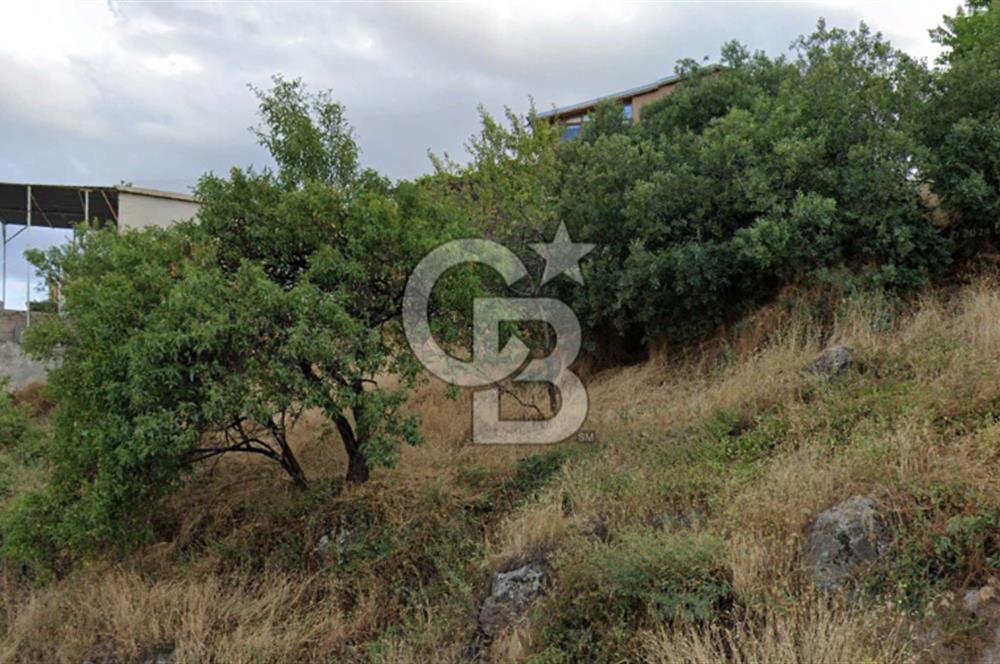 HACILARIN MERKEZİNDE SON KALAN ARSA VE BAGI TAM MEYDANDA SÜPER